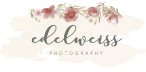 Edelweiss Photography